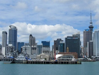 Vacation in Wellington Leads to Job in New Zealand 7