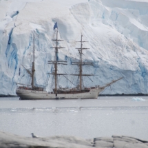 antarctic-3026822_1280 antarctic-3026822_1280