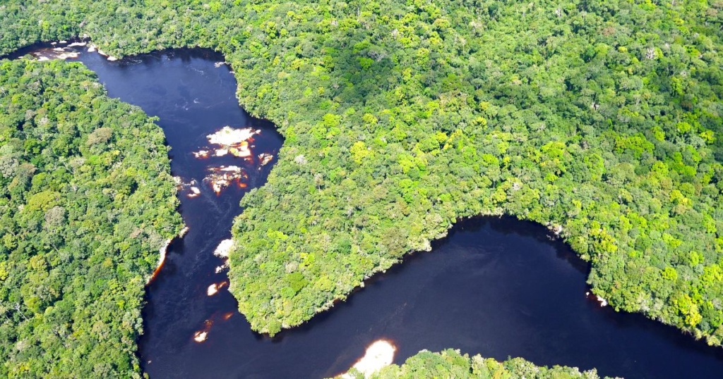 Amazon River