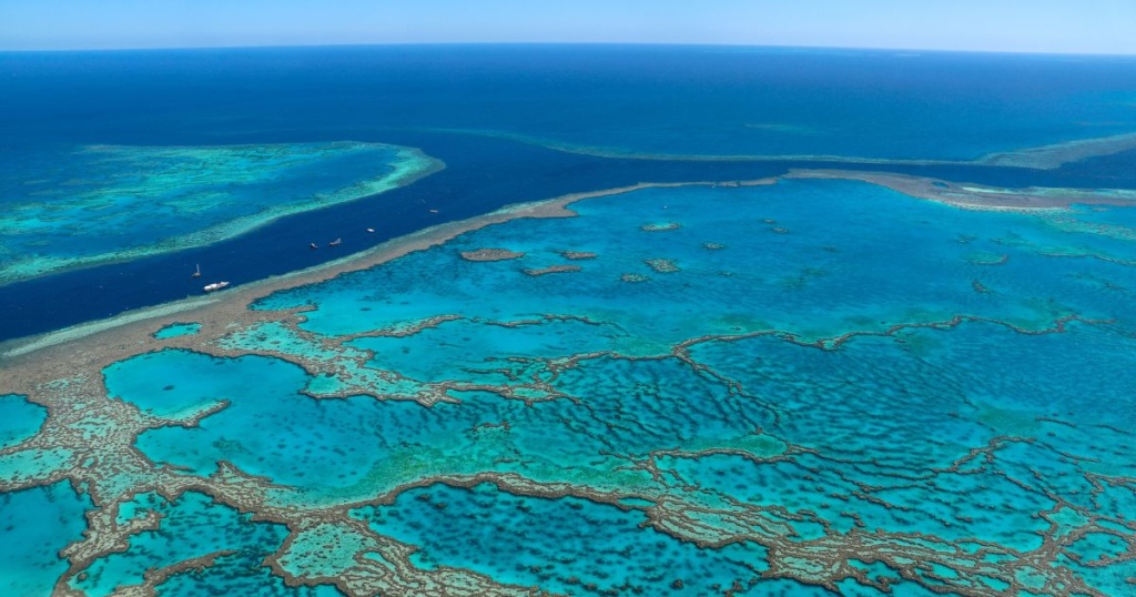 THE GREAT BARRIER REEF
