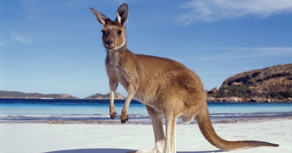 Kangaroo Island, South Australia