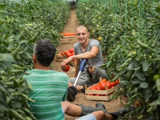 Jobs Across The World - Farmers