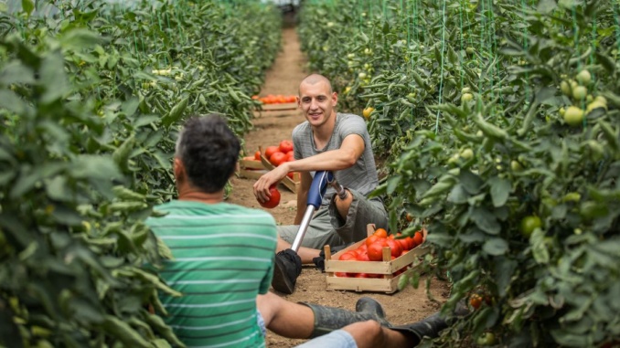 Jobs Across The World - Farmers